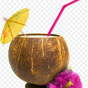 Coconut Drinkware Set of 4 Coconuts with Straw